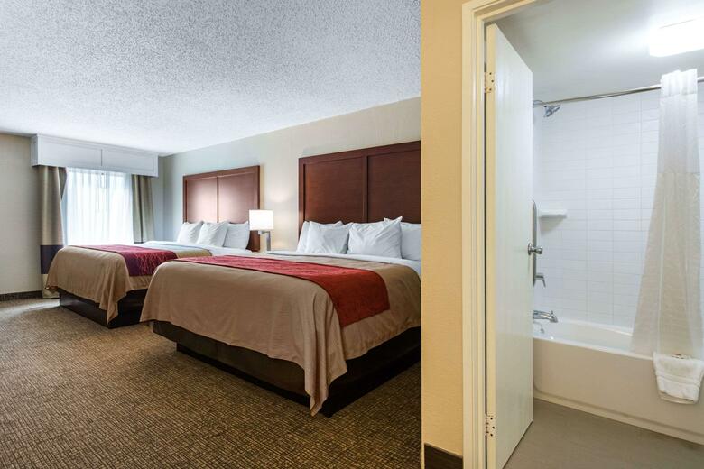 Hotel Comfort Inn And Suites - Airport