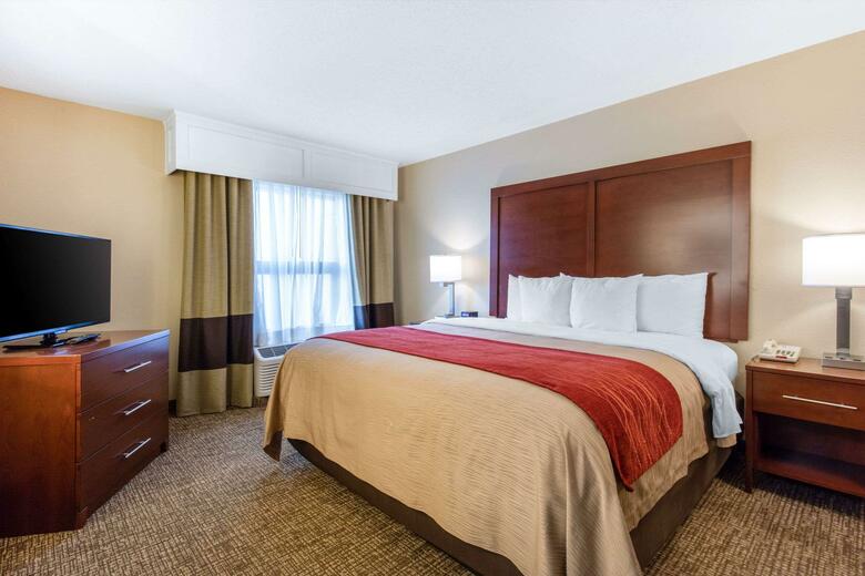 Hotel Comfort Inn And Suites - Airport