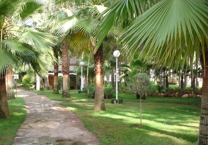 Villa Resort Oasis