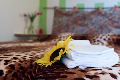 B&B Maremma Nel Tufo