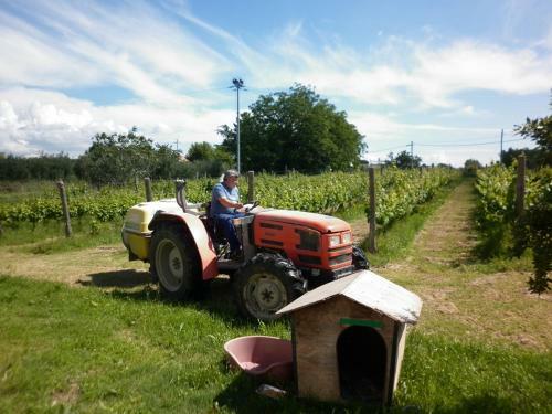 B&B Maremma Nel Tufo