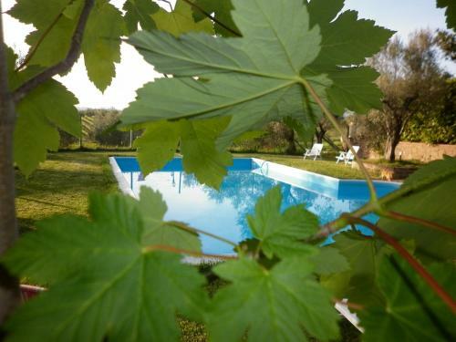 B&B Maremma Nel Tufo