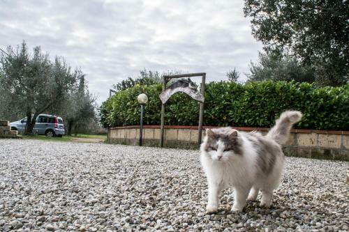 B&B Maremma Nel Tufo