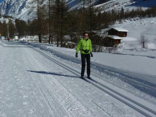 Bed & Breakfast Chalet Des Alpes