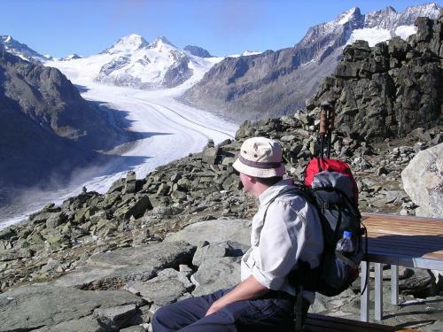 Bed & Breakfast Chalet Des Alpes
