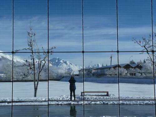 Bed & Breakfast Chalet Des Alpes