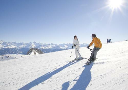 Bed & Breakfast Chalet Des Alpes