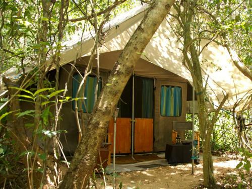 Hotel Mahoora Tented Safari Camp - Bundala