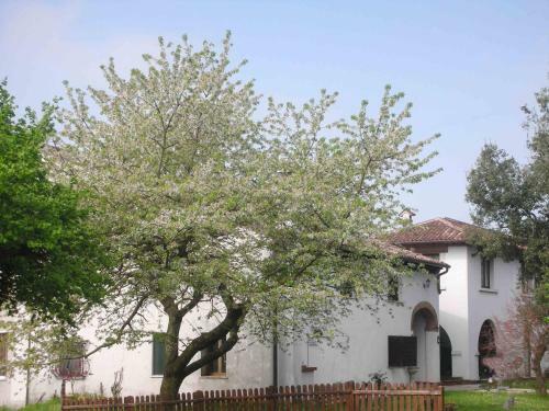Agroturismo Mulinoantico