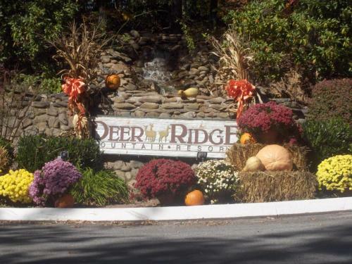 Hotel Deer Ridge Mountain Resort