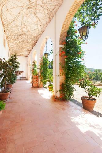 Agroturismo Agriturismo Grazia