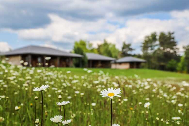 Hotel Domaine Des Mon�di�res