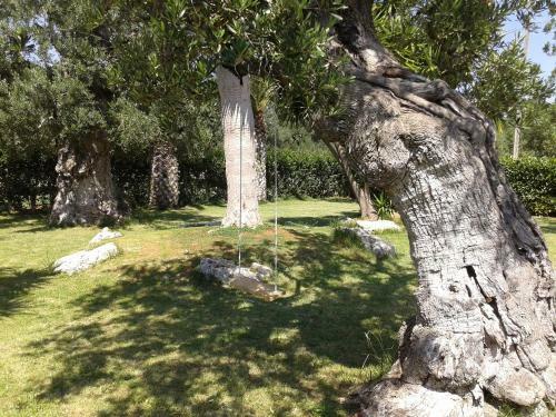 Agroturismo Masseria Galleppa