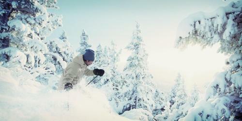 Lodge T�nn�skr�ket