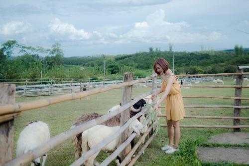 Hotel A - Star Phulare Valley, Chiang Rai