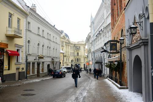 Vilnius Center Apartment - Elizabeth