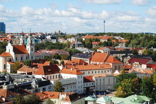 Vilnius Center Apartment - Elizabeth