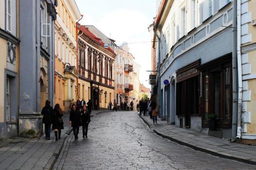 Vilnius Center Apartment - Elizabeth