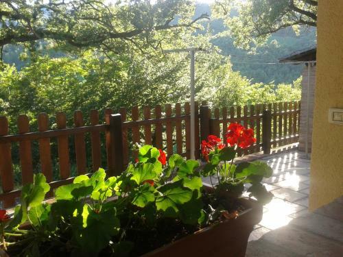 Agroturismo Agriturismo Orsaiola