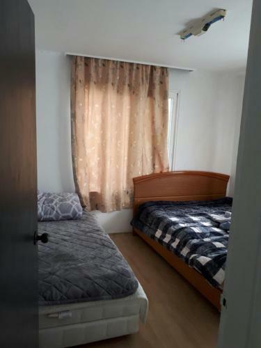 Albergue Jeju B.p. Home
