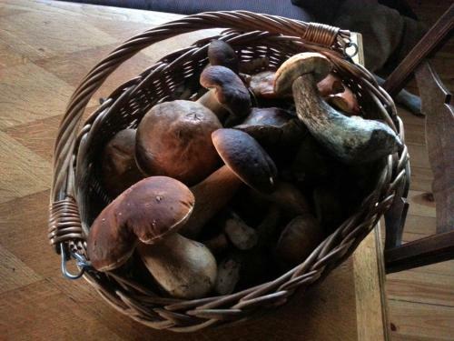 Apartamento Pensjonat Natura