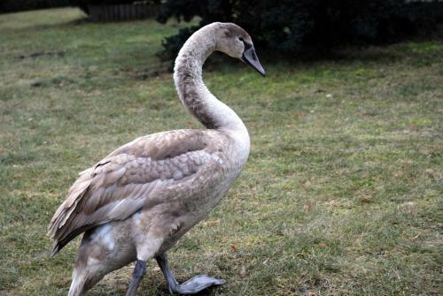 Apartamento Pensjonat Natura