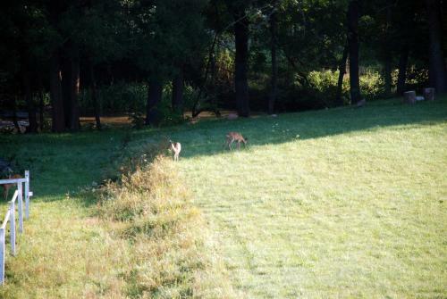 Apartamento Pensjonat Natura
