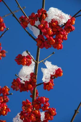 Apartamento Pensjonat Natura