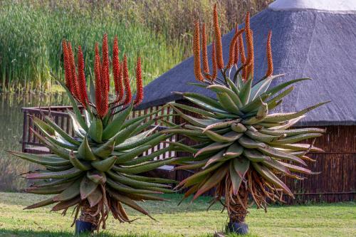 Rooiberg Lodge