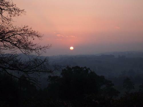 Hostal Pear Tree Cottage Bed And Breakfast