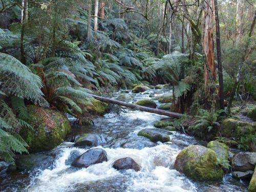 Hostal Pear Tree Cottage Bed And Breakfast