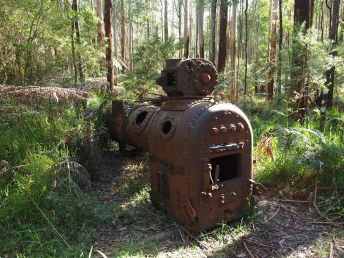 Hostal Pear Tree Cottage Bed And Breakfast