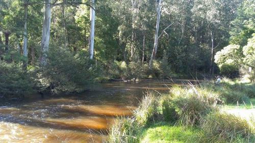 Hostal Pear Tree Cottage Bed And Breakfast