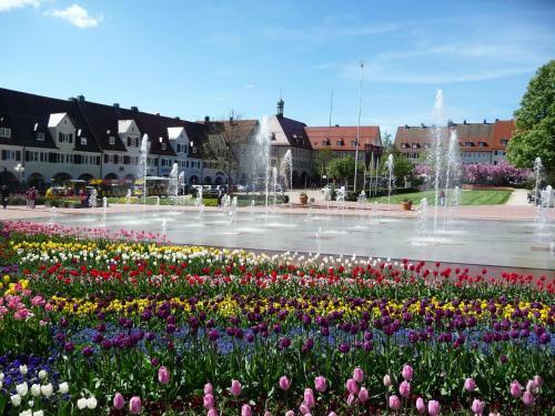 Apartamento Schwarzwald-ferienwohnungen Begert