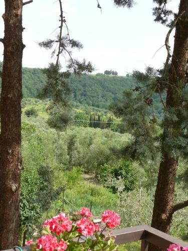 Agroturismo Il Sole Di Semifonte