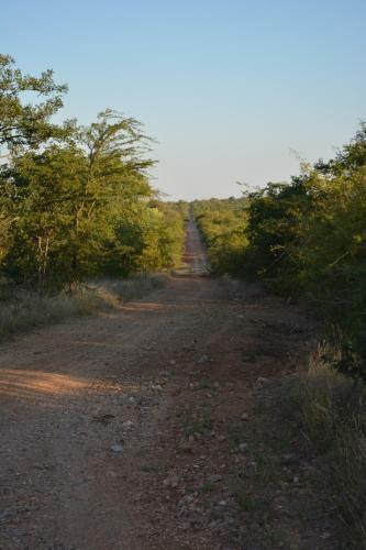 Lodge Silonque Bush Estate