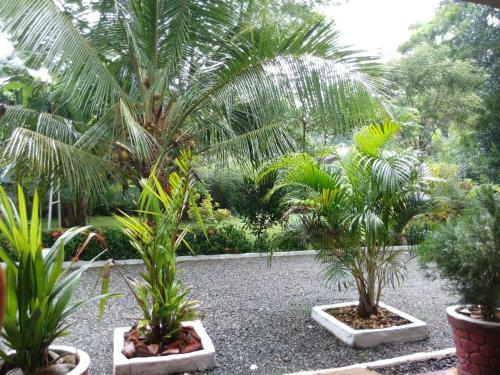 Hostal Walawa Cottage