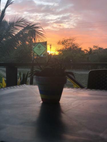 Bed & Breakfast Tavarua Hotel