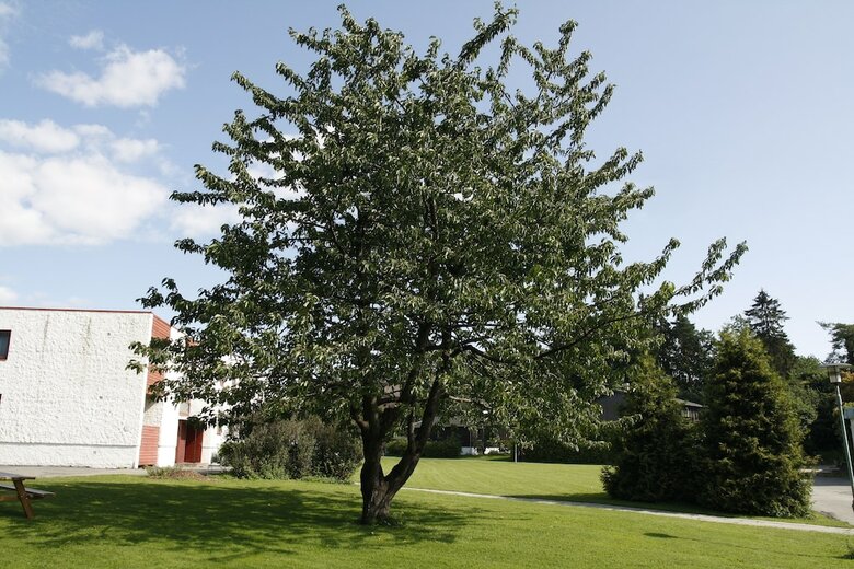 Albergue Oslo Vandrerhjem Holtekilen