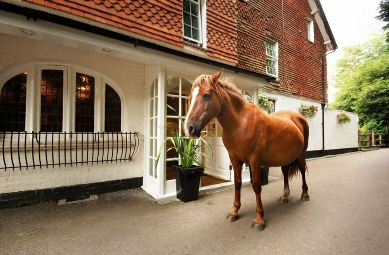 Agroturismo The Moorhill House Hotel