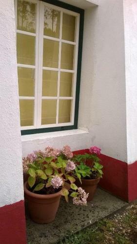 Agroturismo Monte Da Tojeirinha