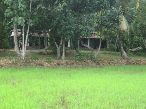 Bed & Breakfast Gk`s Riverview Homestay