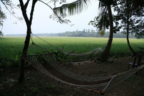 Bed & Breakfast Gk`s Riverview Homestay