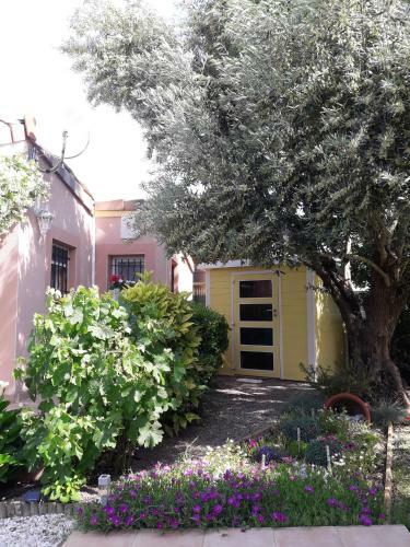 Les Cypr�s Florentins