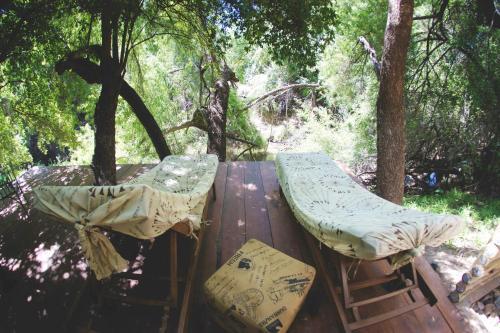 Hostal African Vineyard Guesthouse