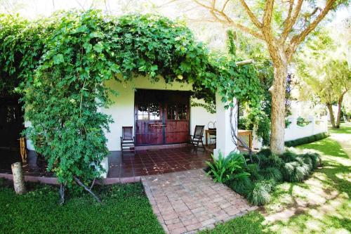 Hostal African Vineyard Guesthouse