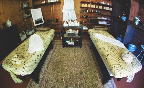 Hostal African Vineyard Guesthouse