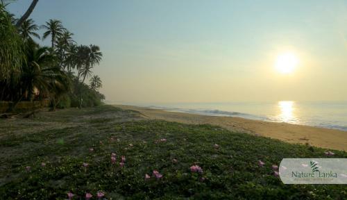 Hotel Nature Lanka Ayurveda Resort