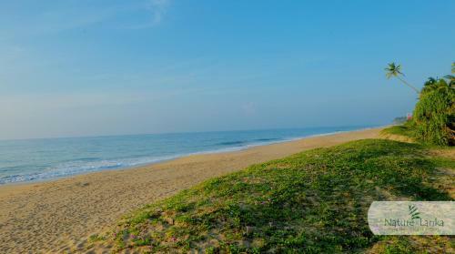 Hotel Nature Lanka Ayurveda Resort