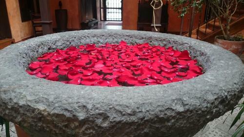 Hotel Casa Del Aguila